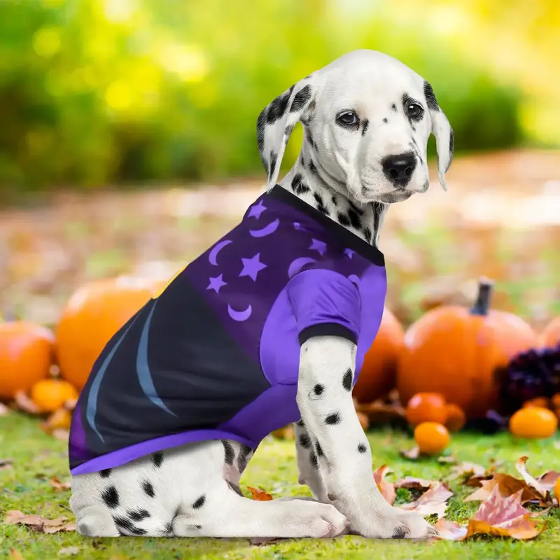 Mago, Disfraz Para Mascota, Talla Grande 2