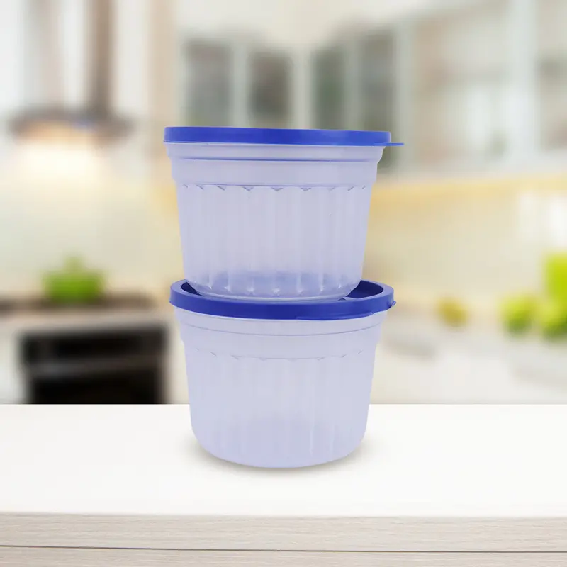 Molde De Plástico Para Postres Con Tapa Color Azul 200Ml 1