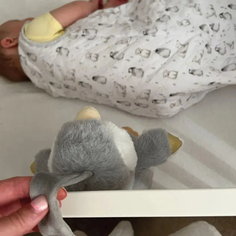 Nuby Penguin Sleep Aid With Cry Sensor 2