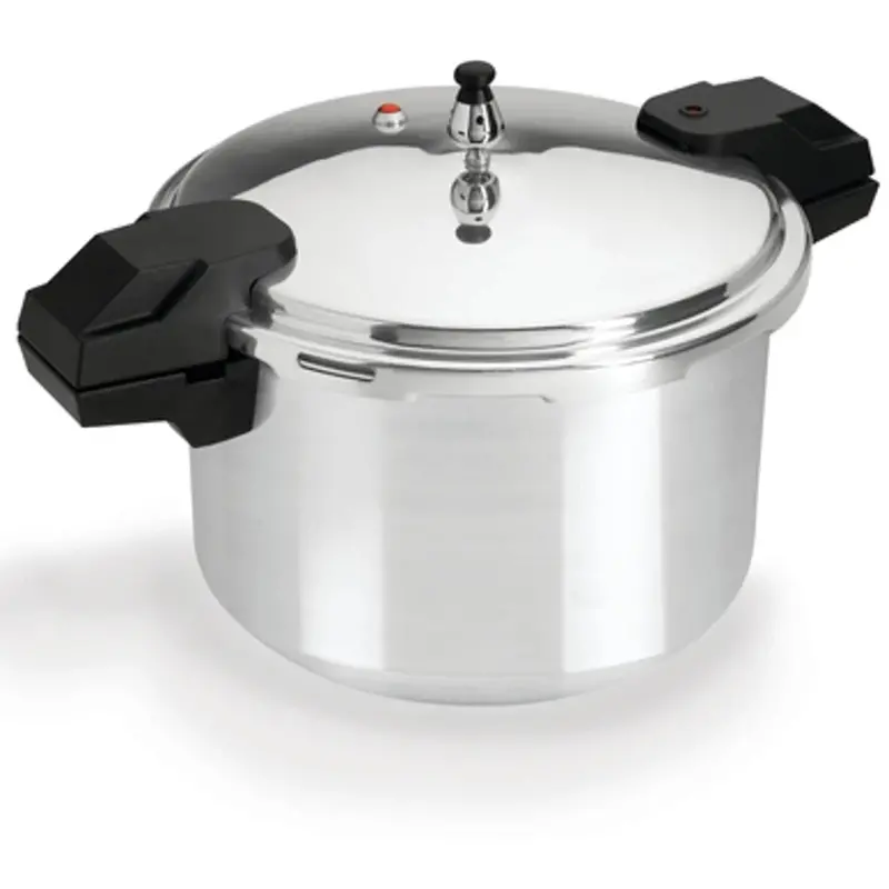 Olla De Presión 12 Litros T-Fal Yl307la7 1