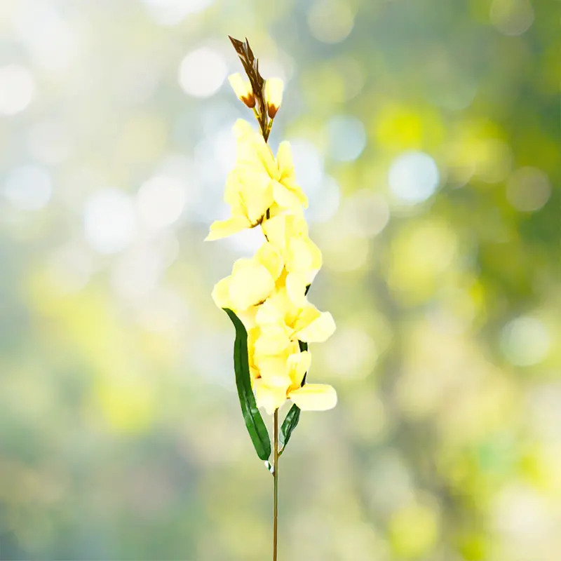 OrquãDea Artificial 2