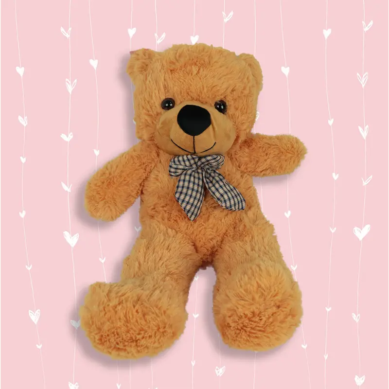 Osito De Peluche Mediano En Color Café 55Cm 1