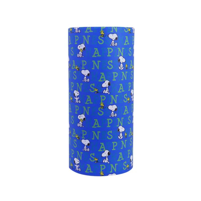 Pañuelos Desechables En Bote Color Azul, Snoopy 2