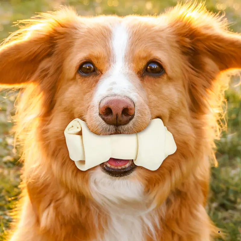 Paquete 3 Carnazas De Mini Hueso Para Mascota 1