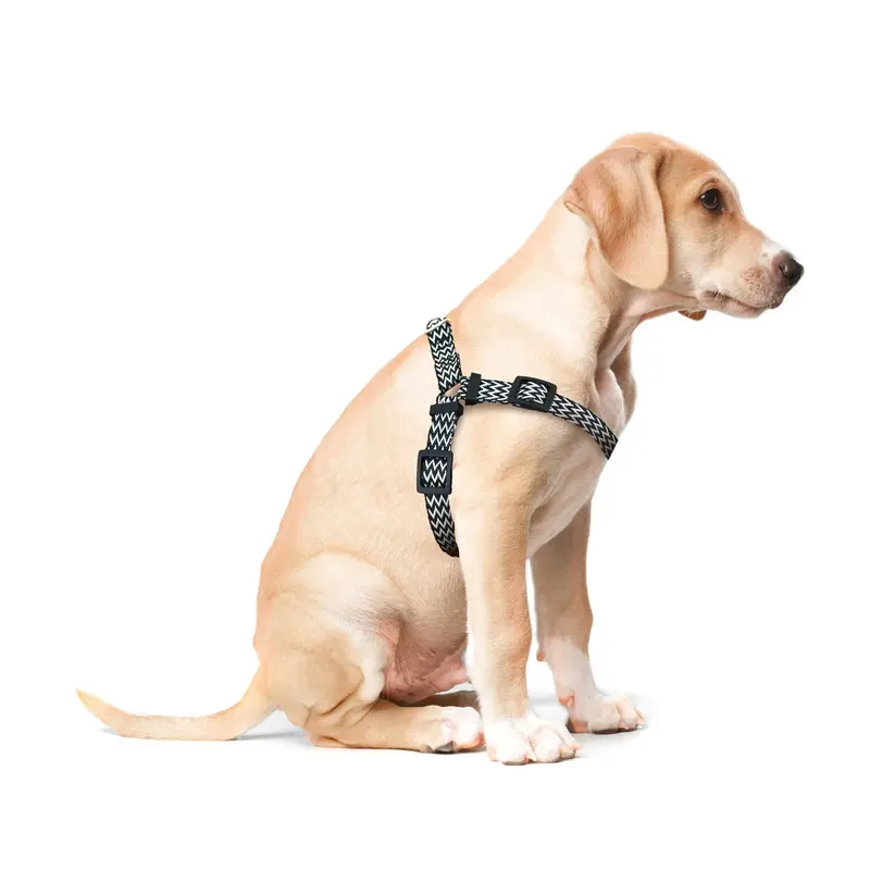 Pechera Color Negro Con Blanco Para Mascota 2