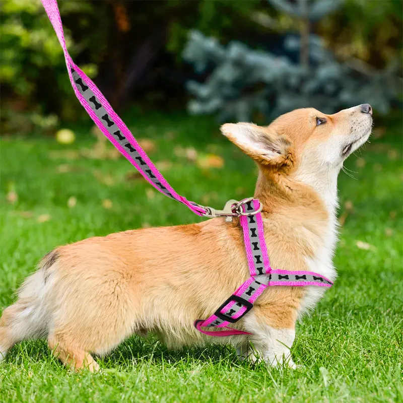 Pechera Para Mascota, Color Rosa 1