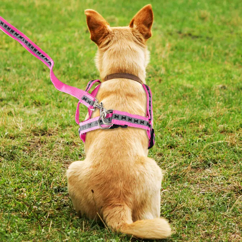 Pechera Para Mascota, Color Rosa 2