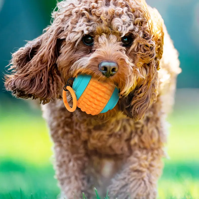 Pelota Con Cuerda Color Naranja Para Mascota 2