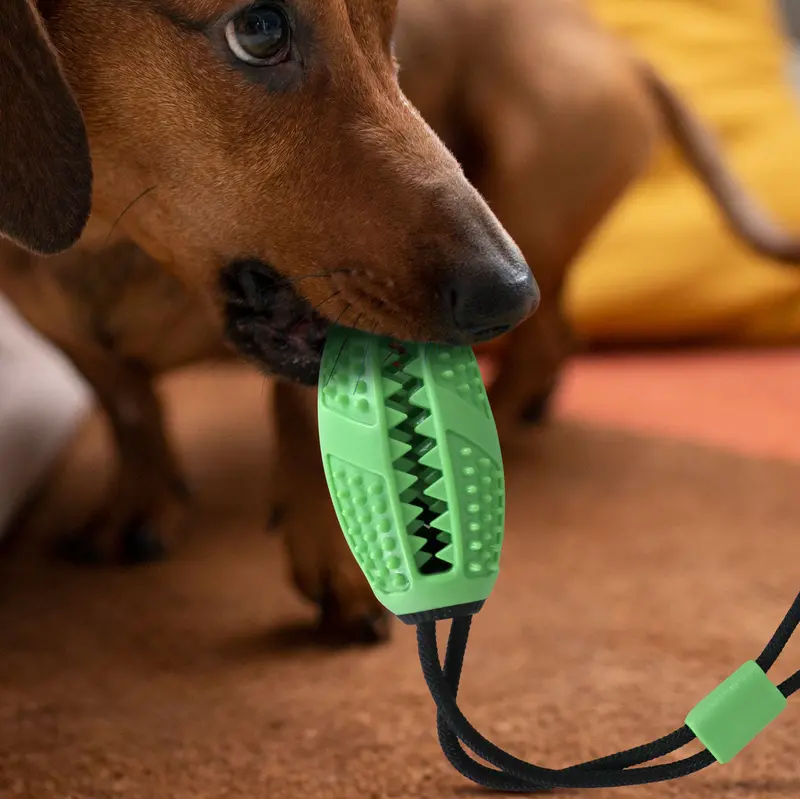 Pelota De Entrenamiento Para Mascota, Color Verde 1