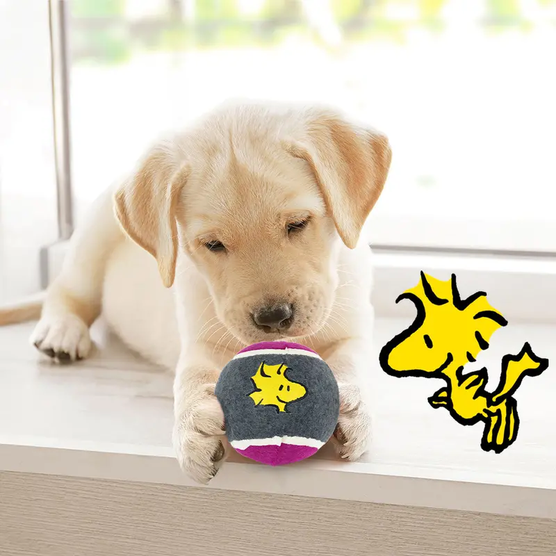 Pelota De Tenis Con Diseño De Peanuts Para Perro, Color Gris 1