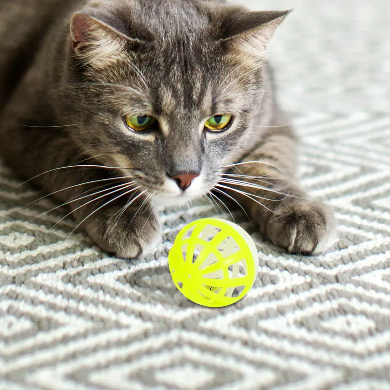 Pelotas De Juguete Para Gatos 1