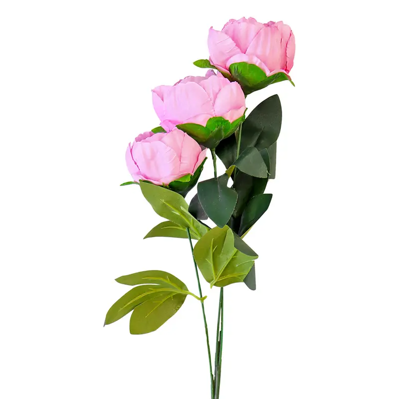 PeonãAs Artificiales, Color Rosa Oscuro 2