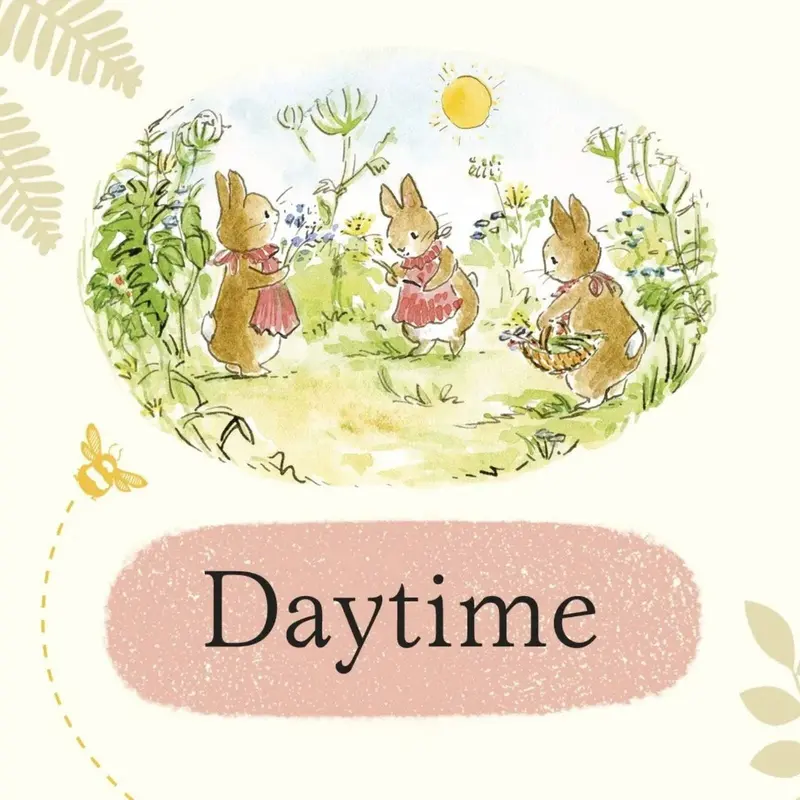 Peter Rabbit Tales Little Library 2
