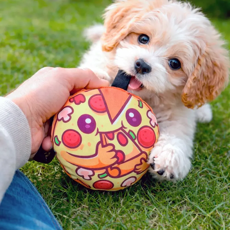 Pizza, Juguete Para Mascota 1