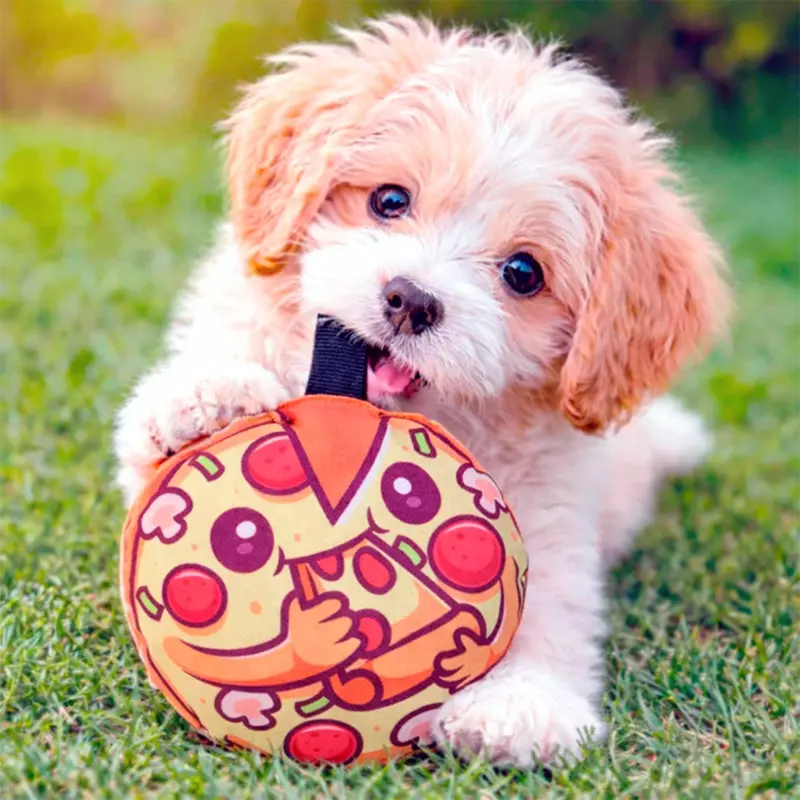Pizza, Juguete Para Mascota 2