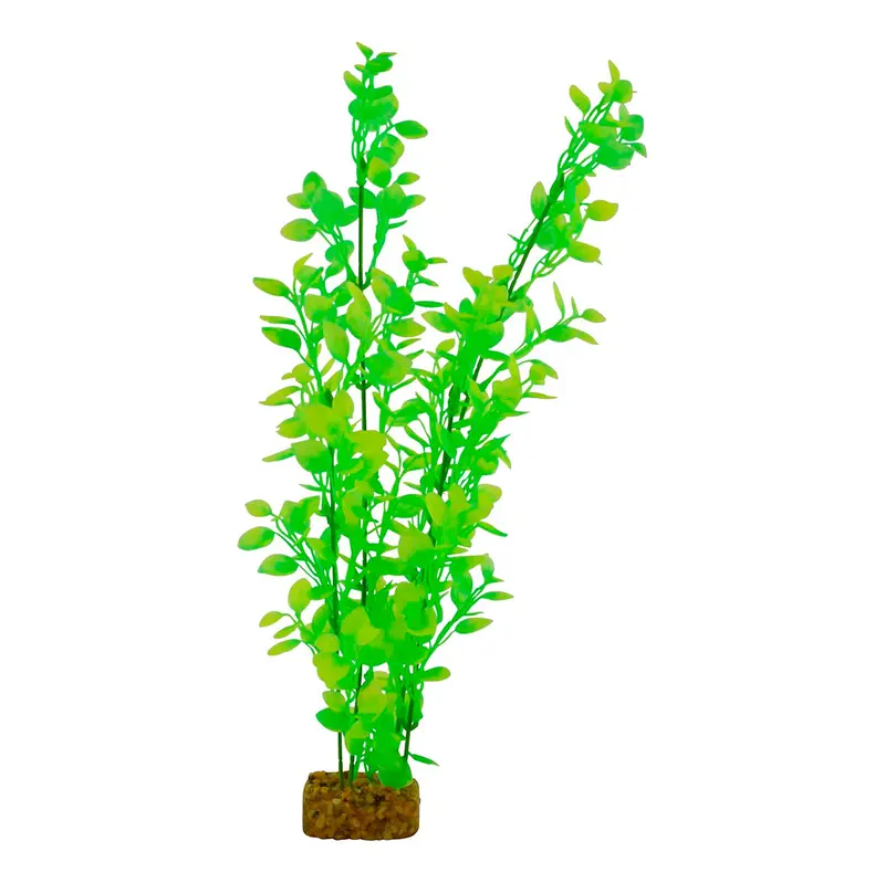 Planta Color Verde Con Amarillo Para Acuarios, Glofish 1
