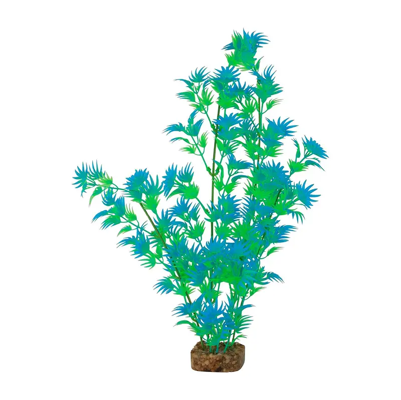 Planta Color Verde Con Azul Para Acuarios, Glofish 1