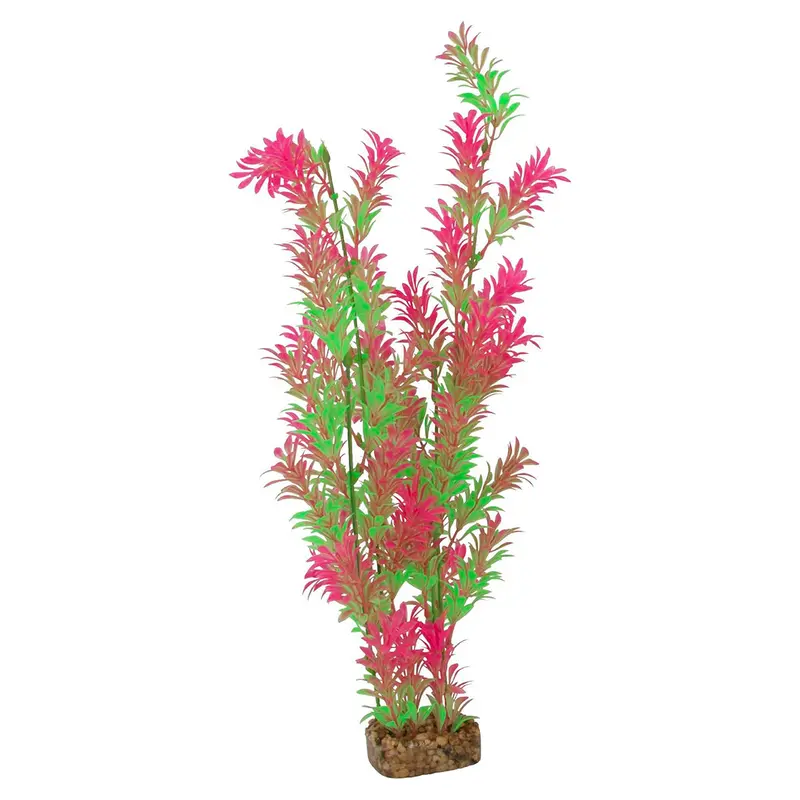 Planta Color Verde Con Rosa Para Acuarios, Glofish 1