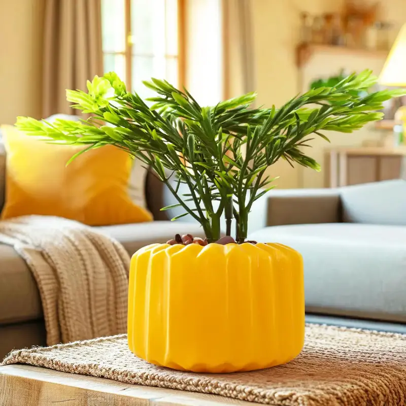 Planta Con Diseño, Color Amarillo 1