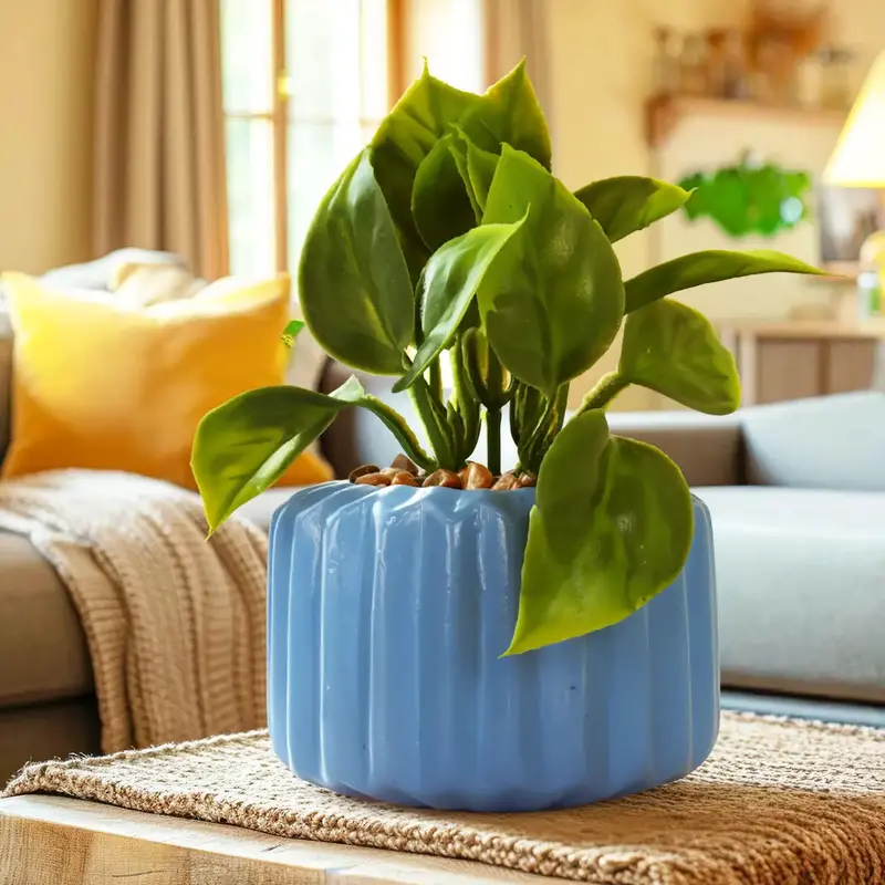 Planta Con Diseño, Color Azul 1