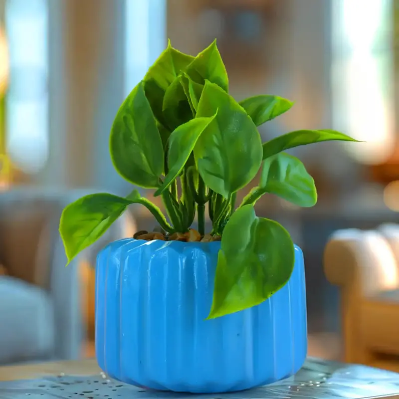 Planta Con Diseño, Color Azul 2