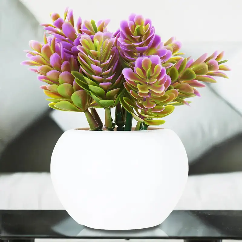 Planta Con Maceta Circular 1