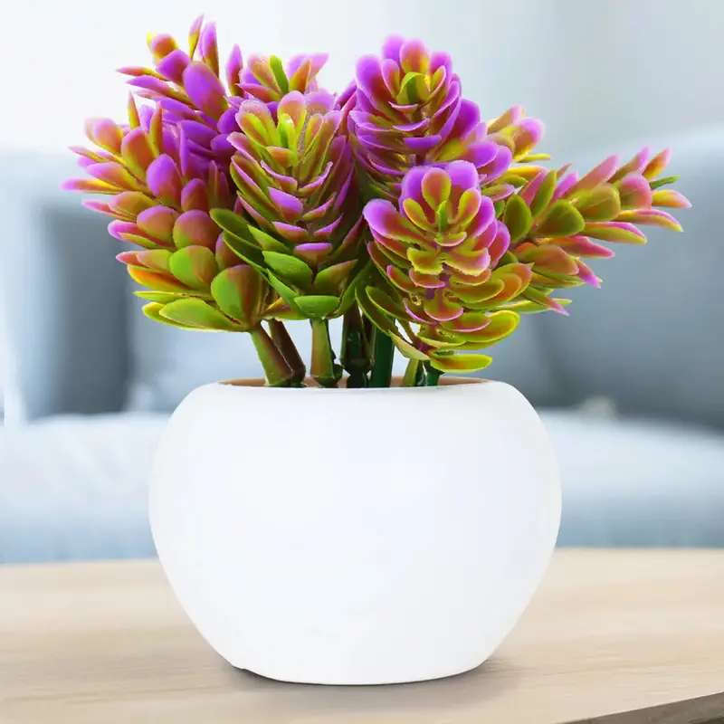 Planta Con Maceta Circular 2