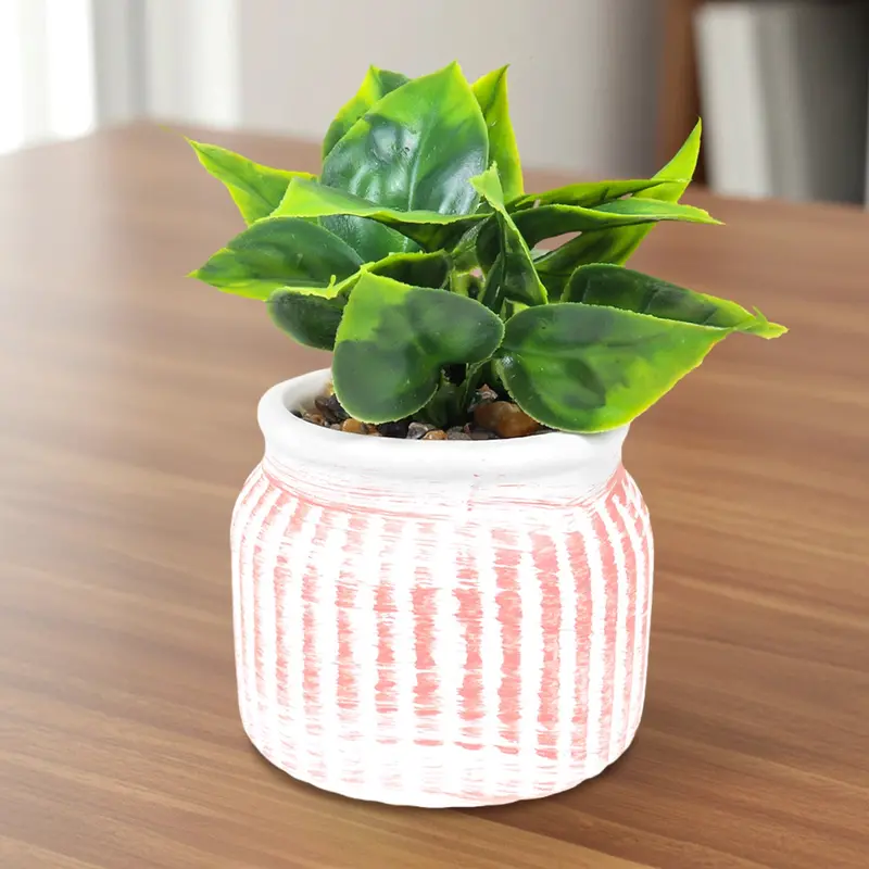 Planta Con Maceta Circular, Color Naranja 2