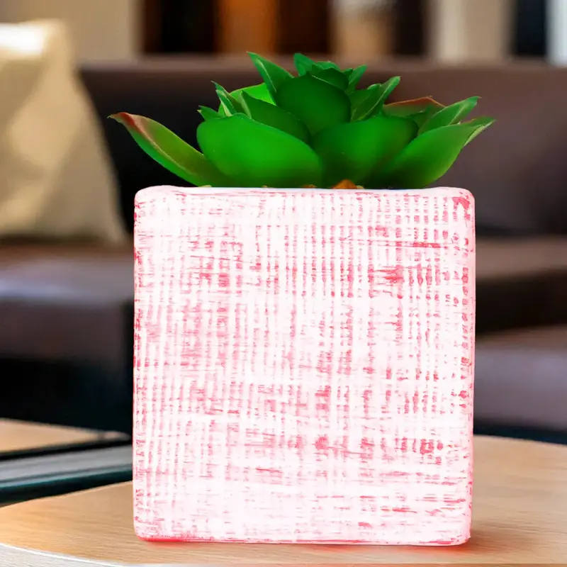 Planta Con Maceta Cuadrada 1