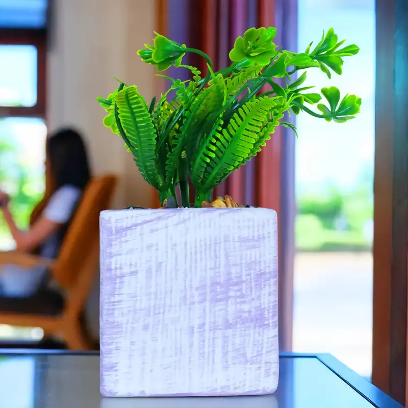 Planta Con Maceta Cuadrada, Color Lila 2