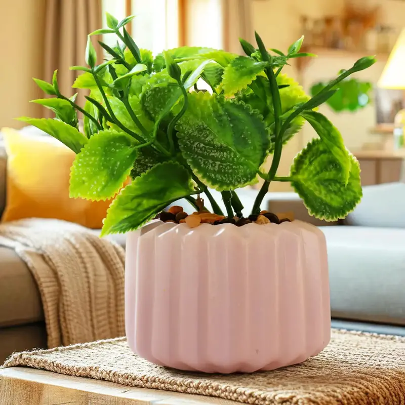Planta Con Maceta, Diseño Geométrico 1