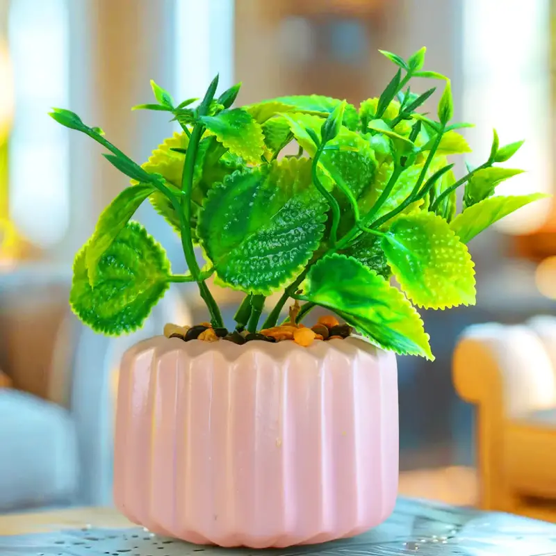 Planta Con Maceta, Diseño Geométrico 2