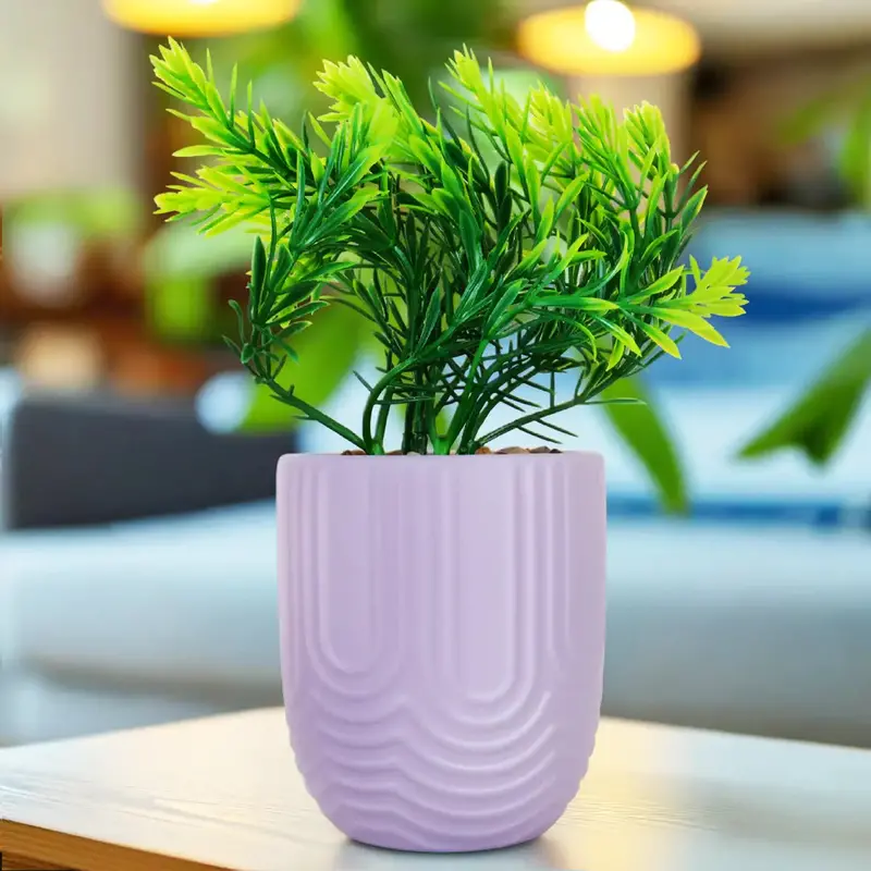 Planta Con Maceta, Textura Arcoã­Ris, Color Morado 1