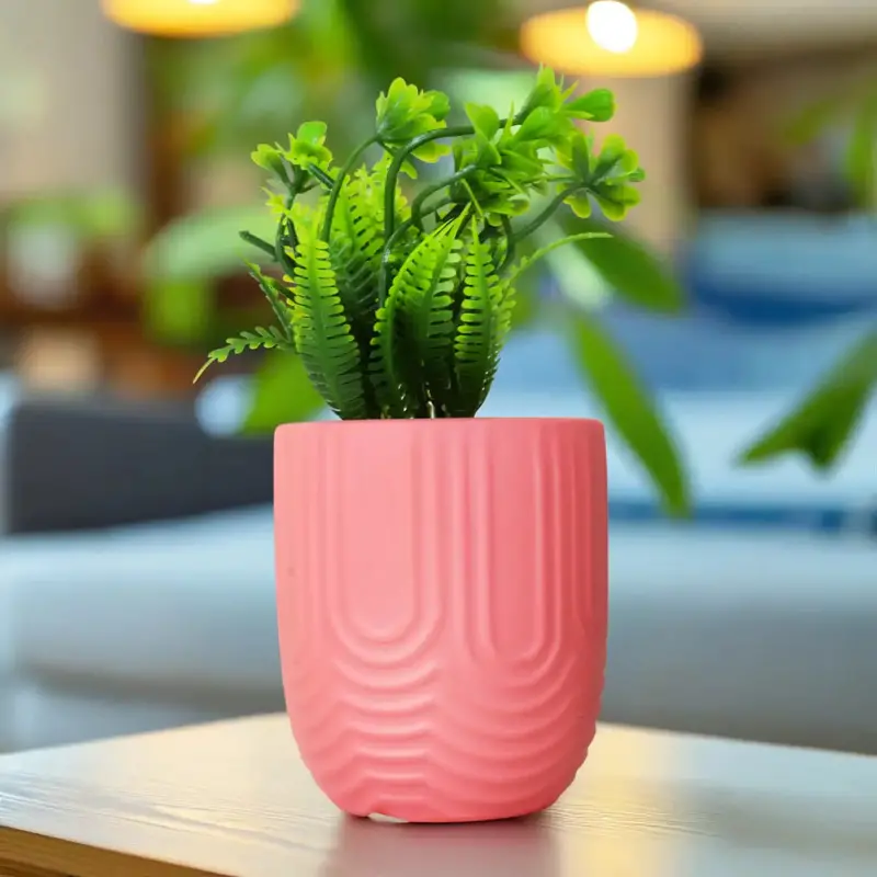 Planta Con Maceta, Textura Arcoíris, Color Rosa 1