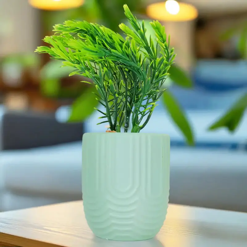 Planta Con Maceta, Textura Arcoíris, Color Verde 1