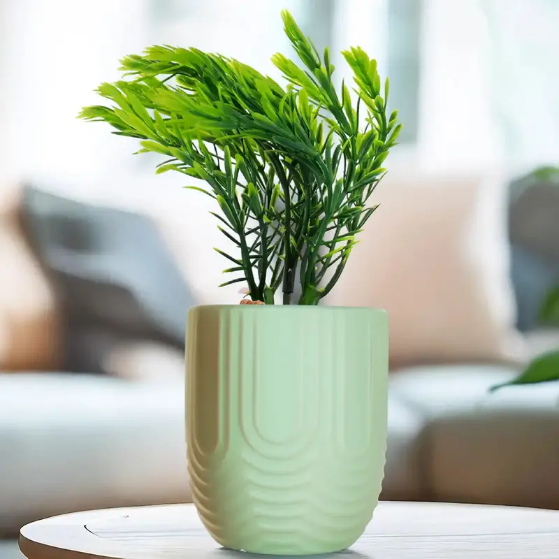 Planta Con Maceta, Textura Arcoíris, Color Verde 2