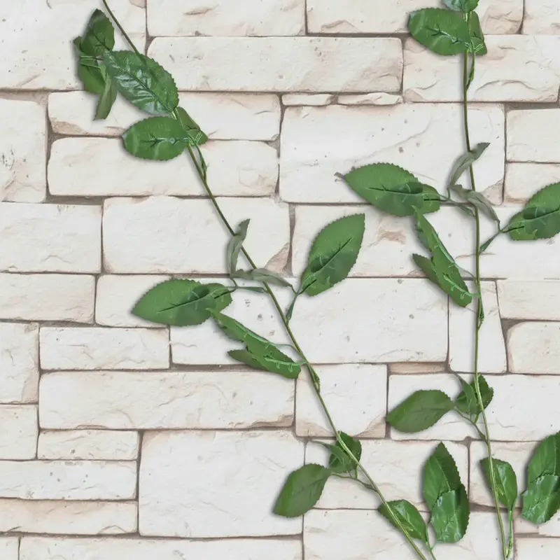 Planta, Enredadera Artificial 1