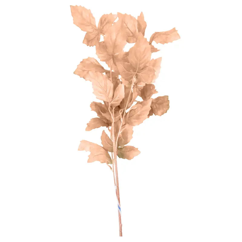 Planta, Hojas Artificiales 2