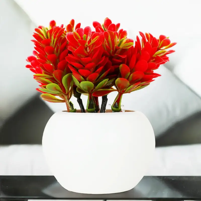 Planta Roja Con Maceta Circular 1