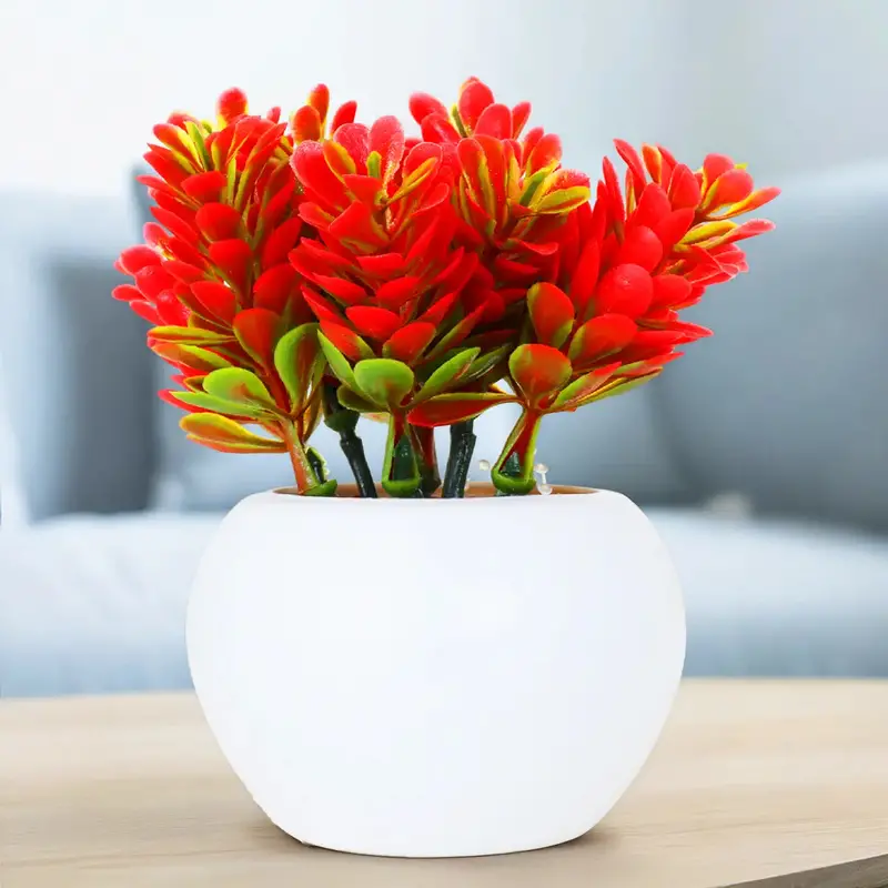 Planta Roja Con Maceta Circular 2