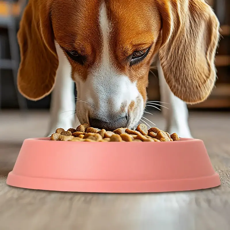 Plato Antiansiedad Para Mascotas, Color Rosa 1