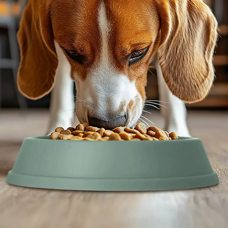 Plato Antiansiedad Para Mascotas, Color Verde 1