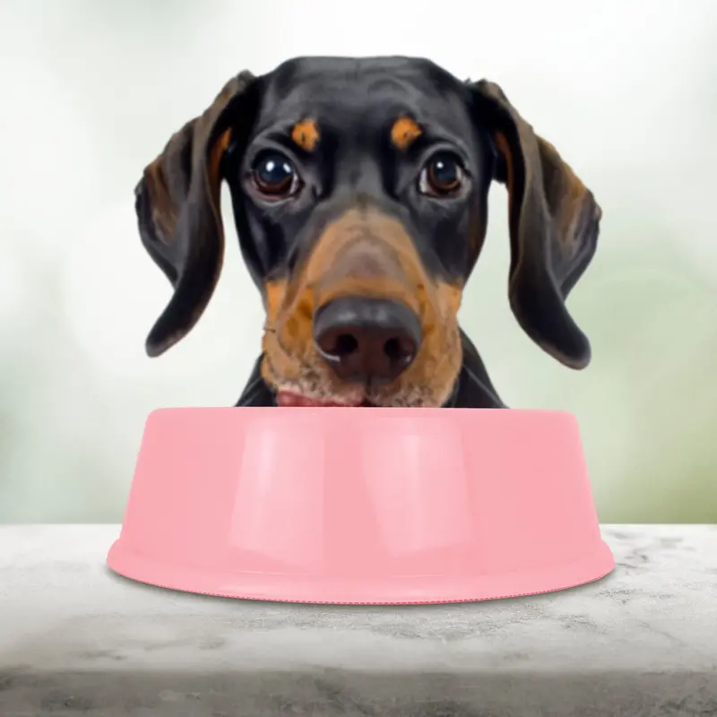 Plato Color Rosa Para Mascota 2