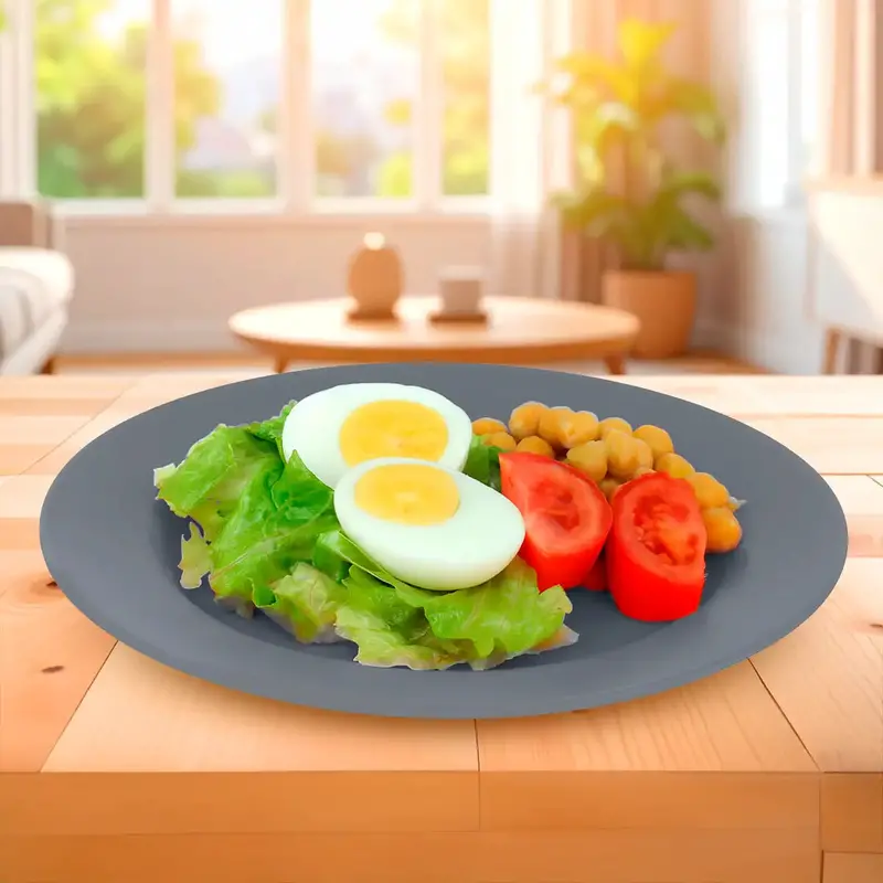 Plato De Plástico, Color Gris, Redondo 1