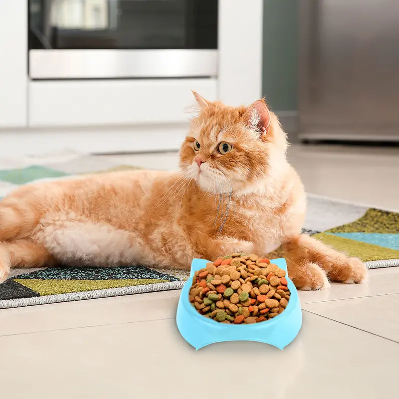 Plato De Plástico Con Diseño De Gatito Color Azul Cielo 1