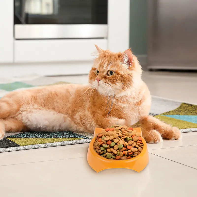 Plato De Plástico Con Diseño De Gatito Color Naranja 1