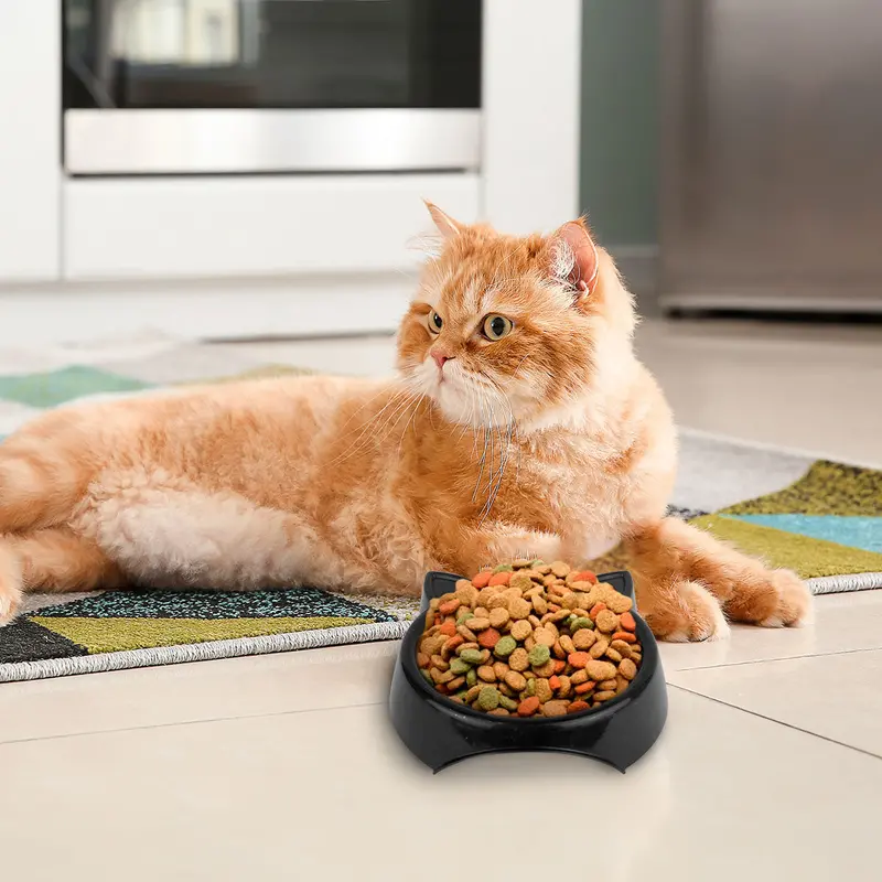 Plato De Plástico Con Diseño De Gatito Color Negro 1