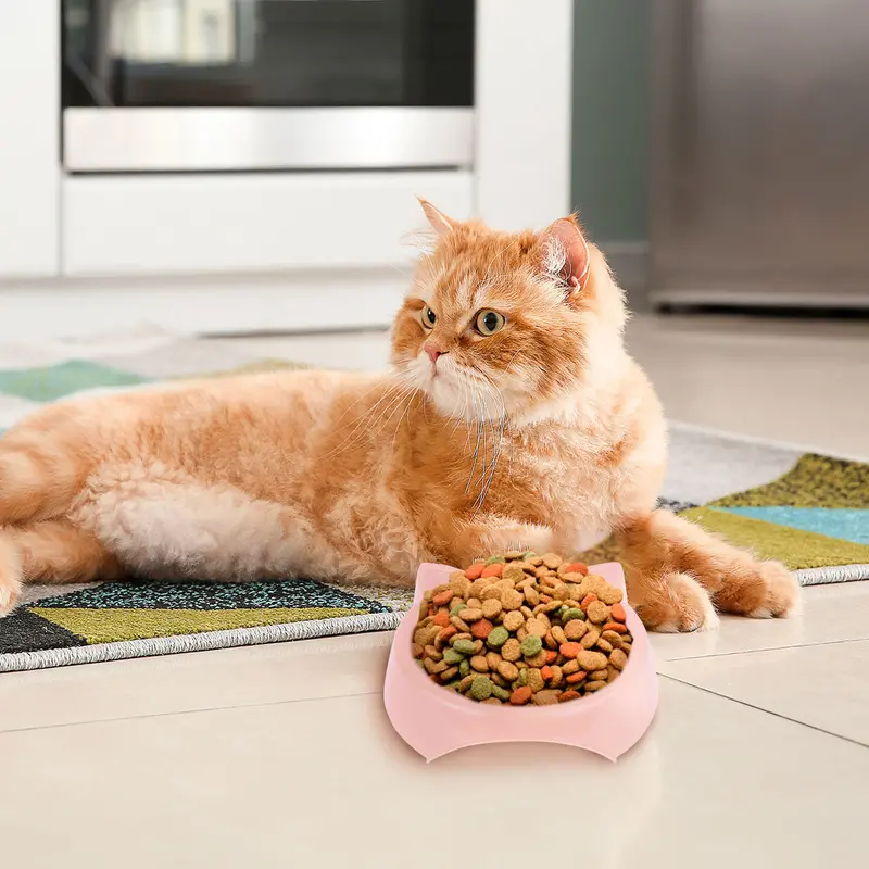 Plato De Plástico Con Diseño De Gatito Color Rosa Palo 1