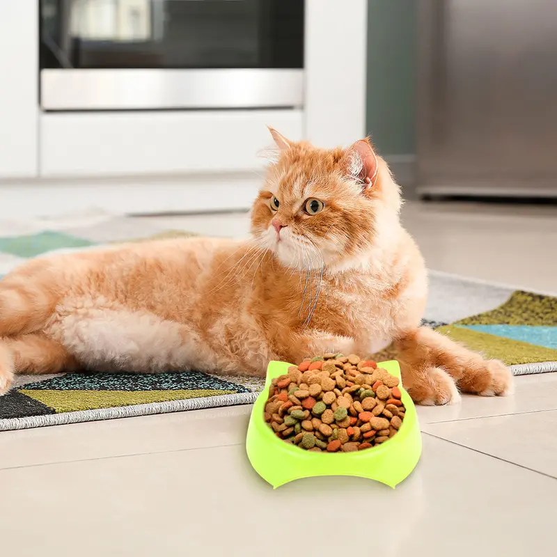 Plato De Plástico Con Diseño De Gatito Color Verde 1