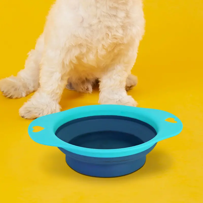 Plato Plegable Color Azul Aqua Para Mascota 1